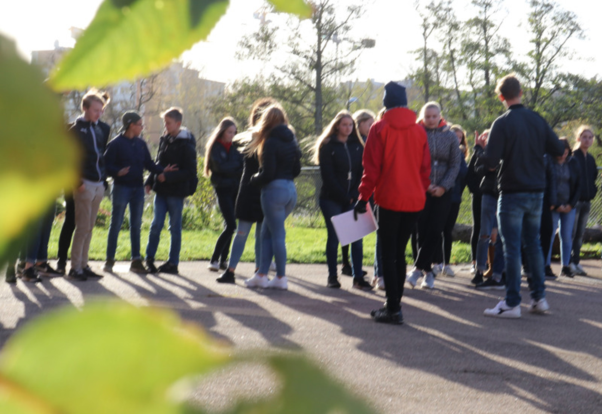 Klimatdagar Växtvärket